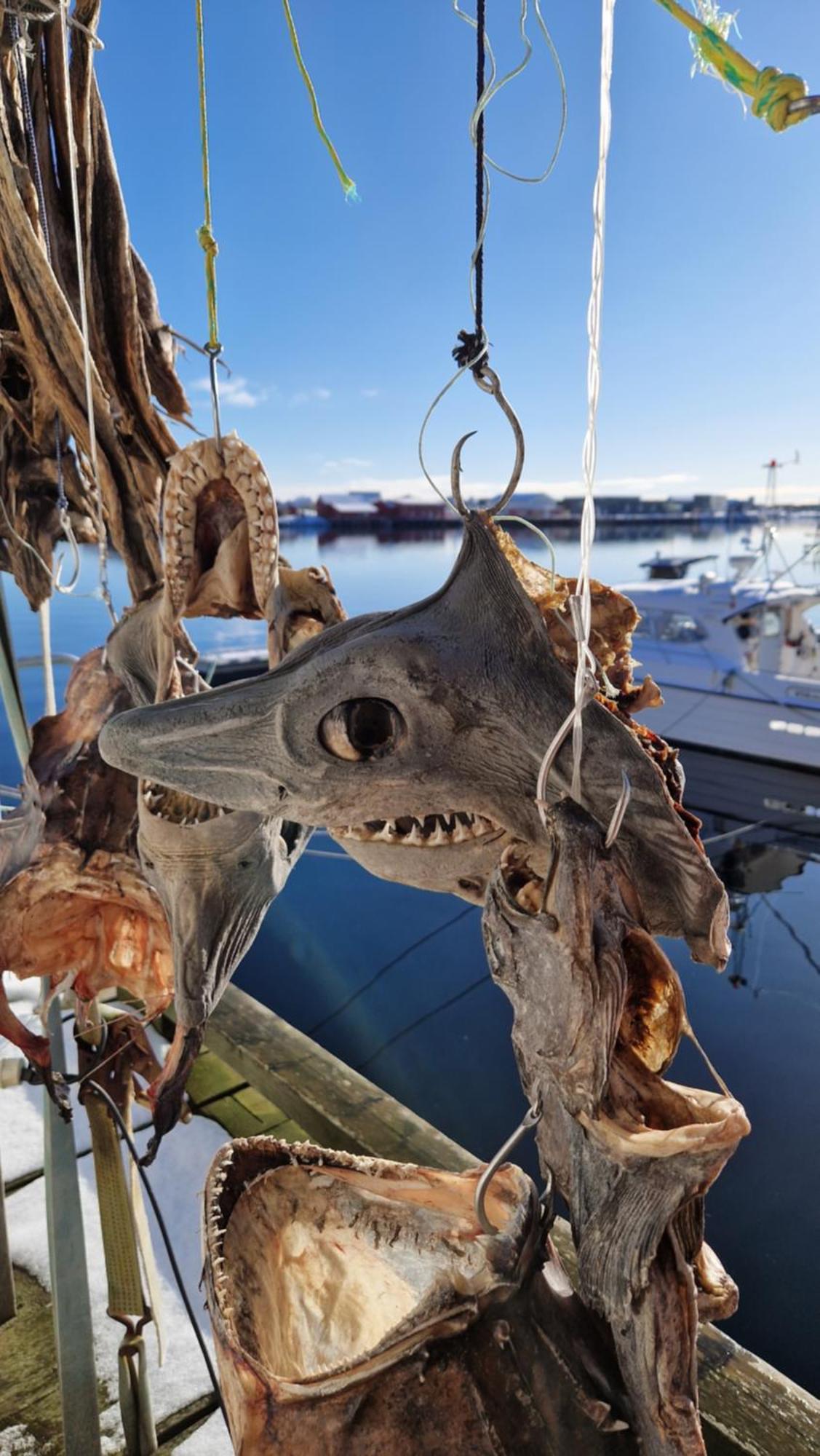 Appartamento Bensvik Brygge Vaeroy Esterno foto